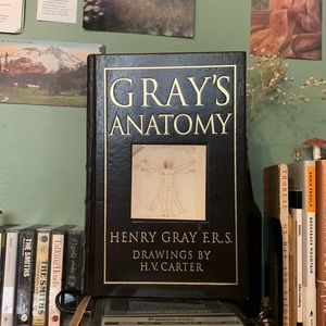 gray's anatomy medical illustrations by. h.v. carter📔